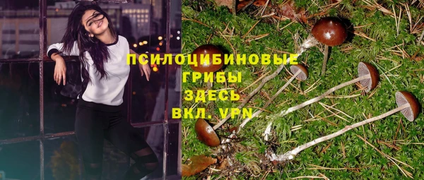 героин Алексин